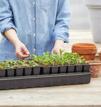 Burpee Self-Watering Seed Starter Tray, 72 Cells