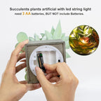 Mingfuxin Succulents Plants Artificial with Light, Small Fake Plants in Pots for Home Decor, Potted Decorative Succulents Plants for Table Desk Bathroom Office Room Decor