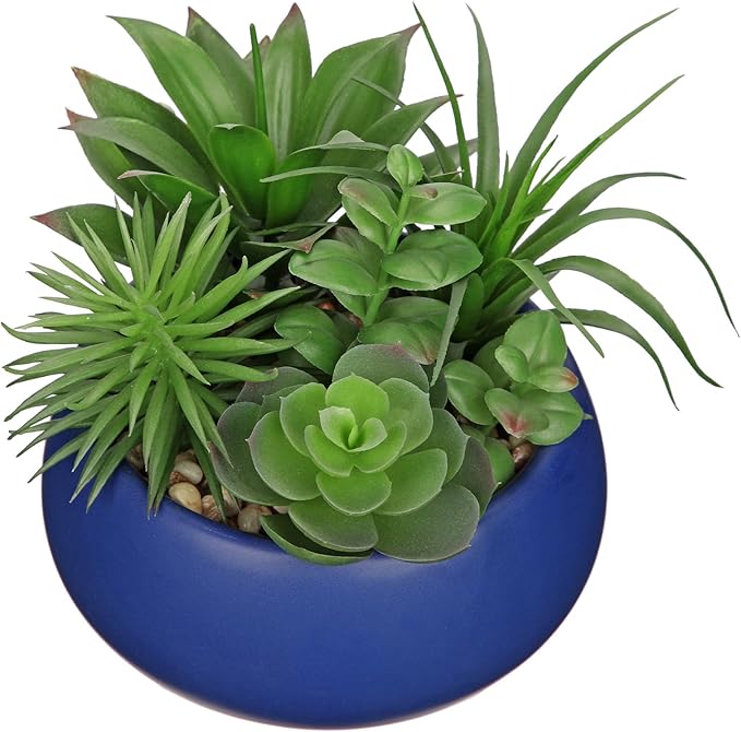 Hollyone Fake Plants Artificial Succulents in Pots Faux Succulent Arrangement Potted Plant in Blue Ceramic Planter Bowl for Home Decor Office Desk Bathroom Shelf Living Room Indoor Decorations