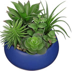 Hollyone Fake Plants Artificial Succulents in Pots Faux Succulent Arrangement Potted Plant in Blue Ceramic Planter Bowl for Home Decor Office Desk Bathroom Shelf Living Room Indoor Decorations