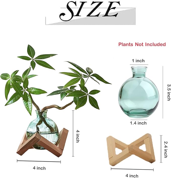 Plant Propagation Station Propagation Vases for Plants Glass Terrariums Vases Bulb with Wooden Stand for Hydroponic Water Plants Indoor, Office Decor Desk Accessories (Green)