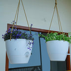 8 inch Hanging Planters, 2 Pack Self Watering Hanging Pots with 20oZ Deep Reservoir for Indoor Outdoor Plants Flowers, White