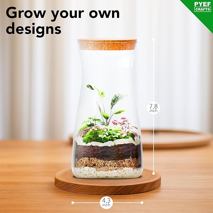 DIY Terrarium Kit for Adults – Build Your Own Self‑Sustaining Closed Ecosystem – 34 fl oz (1‑Liter) Glass Terrarium – Succulents, Air Plants, Fittonia, Fern – Plants Not Included