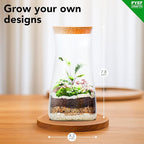 DIY Terrarium Kit for Adults – Build Your Own Self‑Sustaining Closed Ecosystem – 34 fl oz (1‑Liter) Glass Terrarium – Succulents, Air Plants, Fittonia, Fern – Plants Not Included