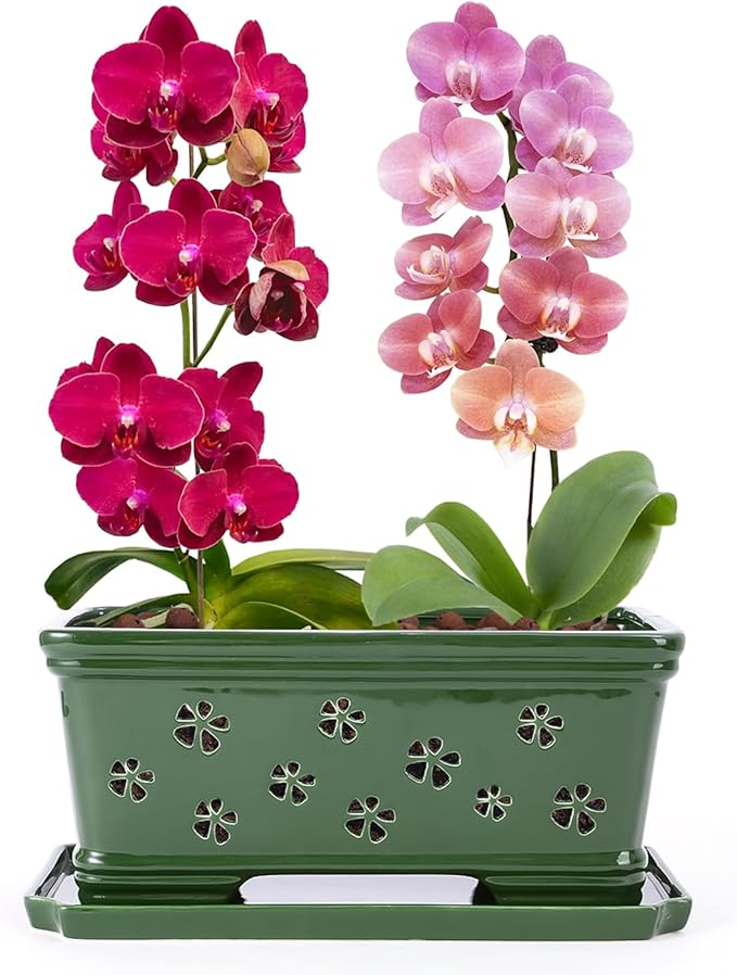 Ceramic Orchid Pot 10 * 4.3 * 4.3Inch Orchid Planter with Holes for Repotting Indoor Flower Plant Pot with Drainage and Saucer, Arctic Green
