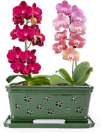 Ceramic Orchid Pot 10 * 4.3 * 4.3Inch Orchid Planter with Holes for Repotting Indoor Flower Plant Pot with Drainage and Saucer, Arctic Green