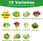 Lettuce Seeds, 10 Varieties Individual Packs, 60000+ Non-GMO Heirloom Vegetable Seeds for Planting Indoor Outdoor for Fresh Salad, Easy to Grow for Garden Beginners, Gifts for Women Men Plant Lovers.