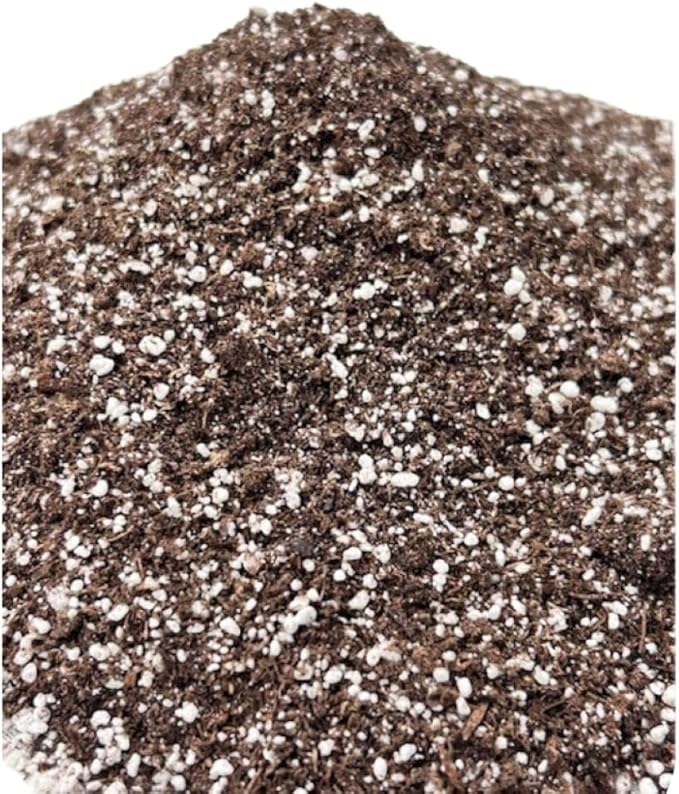 Black Gold Seedling Mix 8qt