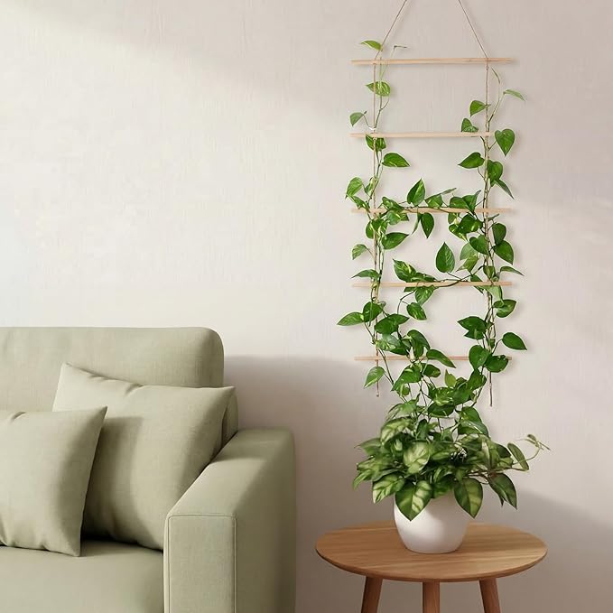 Novabright 15.7'' Chain Trellis for Climbing Plants Indoor Natural Wood Ladder Plant Support for Vines Ivy Pothos Wide Strong Climbing Support Modern Home Decor Garden Use Indoor Outdoor