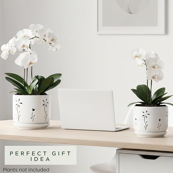 2 Pack, 5 + 6 Inch White Orchid Pots with Holes and Saucer, Ceramic Orchid Planters for Repotting with Drainage Holes and Tray, Plant Flower Pot containers for Orchid Indoor Outdoor
