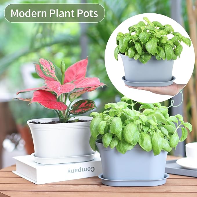 Oliz Windowsill Herb Garden Planter with Tray, Set of 6 Grey Oval Farmhouse Garden Pots for Indoor/Outdoor Plants (No Seeds)