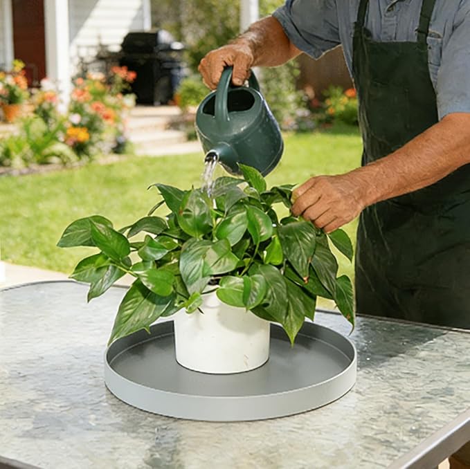 Plant Saucer 6 inch Drip Tray for Ceramic Plastic Pots, 2 Pack Plant Saucers for Indoors, Plastic Planter Flower Pot Saucers for Potted Plants, Planter Water Trays for pots Base (6", Gray)