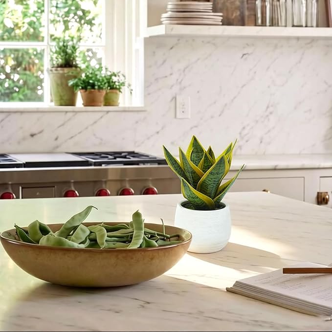 8" Artificial Snake Plant & Faux Agave in White Ceramic Pot - Sansevieria Potted Greenery, Real Touch Small Fake Plant for Home Office Desk, Bookshelf, Bathroom Decor (1 Pack)