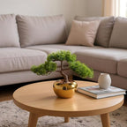 9.5 Inch Artificial Bonsai Tree with Ceramic Pot - Decorative Fake Plant for Home Office Living Room Window Sill, Fake Plants for Year-Round Decoration（Gold）