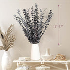 Tavkite 16 Pcs Dried Eucalyptus Stems, 17'' Natural Fresh Eucalyptus Leaves Branches Hanging for Shower, Preserved Real Purple Plant Live for Home SPA Wall Bathroom Wedding Party Vase Decor