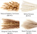 200PCS Dried Flower Bouquet – Pampas Grass, Floral Decor for Home, Wedding, and Boho Style | Perfect for Vases, Fall, Spring, Summer, and Winter Arrangements