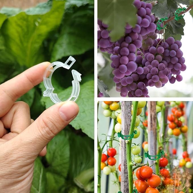 150pcs Plant Support Clips - Tomato Clips for String Trellis, Grape Vine Clips for Garden Netting Climbing Plants, Secured Plastic Plant Clip for Fixing Stem and Vine