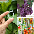 150pcs Plant Support Clips - Tomato Clips for String Trellis, Grape Vine Clips for Garden Netting Climbing Plants, Secured Plastic Plant Clip for Fixing Stem and Vine