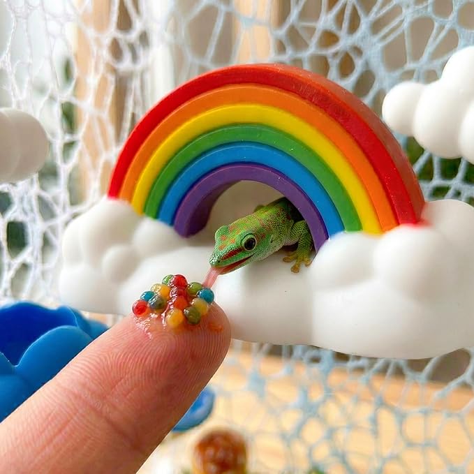 21 Pcs Jumping Spider Enclosure Accessories Kit - Magnetic Rainbow Cloud Hideout & Feeding Bowl, Mushroom Platform Ledges, Climbing Nets, Moss - Aesthetic Habitat Decor for Resting and Exploration