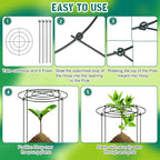 Geelin 15 Pack Peony Cages and Supports 12'' Dx 16'' H Grow Through Metal Plant Supports Frame Rings Hoops for Outdoor Plants Peony Flowers Tomato Rose