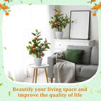 Suncalla 2 Pack Artificial Orange Potted Plants 19.7 Inches Fake Orange Tree Simulation Realistic Fruit Plant with Pot Faux Tree Indoor Decoration for Home Office Living Room Table Desk