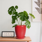 Ceramic Pot for Plants - 8 Inch Plant Pot for Indoor Plants Outdoor Round Planter Modern Flower Pot with Drainage Hole and Saucer Home Garden Office Porch Decor Red