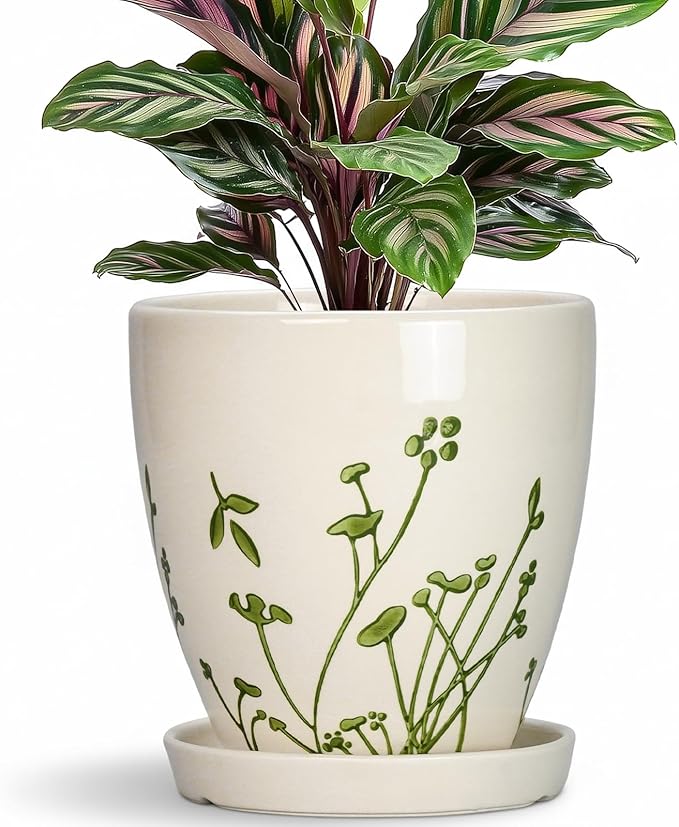 MPotTo 6 Inch Plant Pot - Ceramic Pots for Plants with Drainage Hole and Saucer, Ceramic Succulent Pots for Indoor Outdoor, Decorative Boho Planter, Housewarming Gifts, Garden Room Home Decor, White
