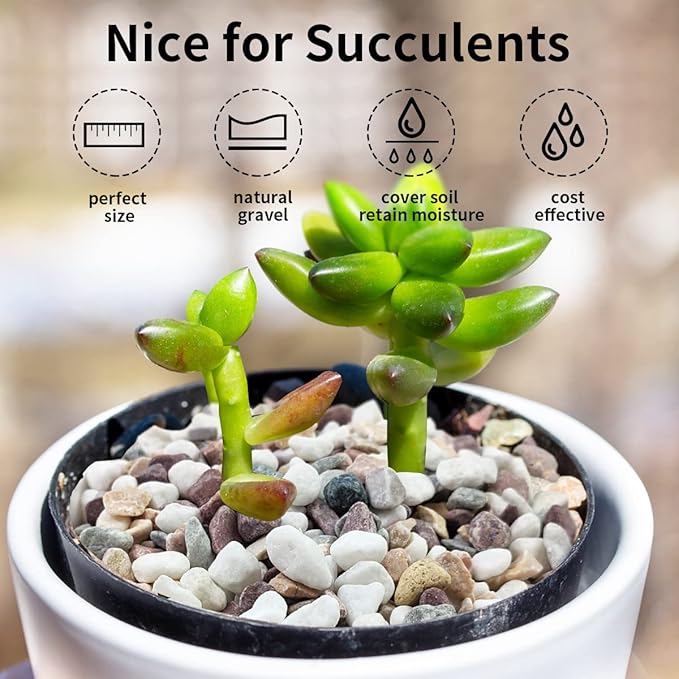 FANTIAN 10 lbs Colorful Pebbles Pea Gravel for Landscaping, 3/8 Inch Decorative River Rocks for Plant Indoor Succulent Cactus Vase Garden and Plant Pots