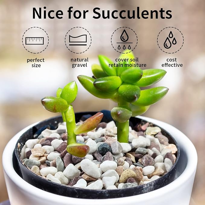FANTIAN 2 lbs Natural Mixed Color Pea Gravel Pebbles, 3/8 inch Decorative Rocks for Succulents, Pebbles for Indoor Plants, Vases, Aquarium Gravel, Top Dressing, Outdoor Decorative Stones