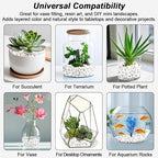 Succulent Rocks,Virekm River Rocks,Decorative Ornamental Pebbles,Garden Landscaping Stones,Gravel Filler for Home Decoration Flower Bed Fish Tank Plants Vases Succulents (1, White, 2 Pounds)