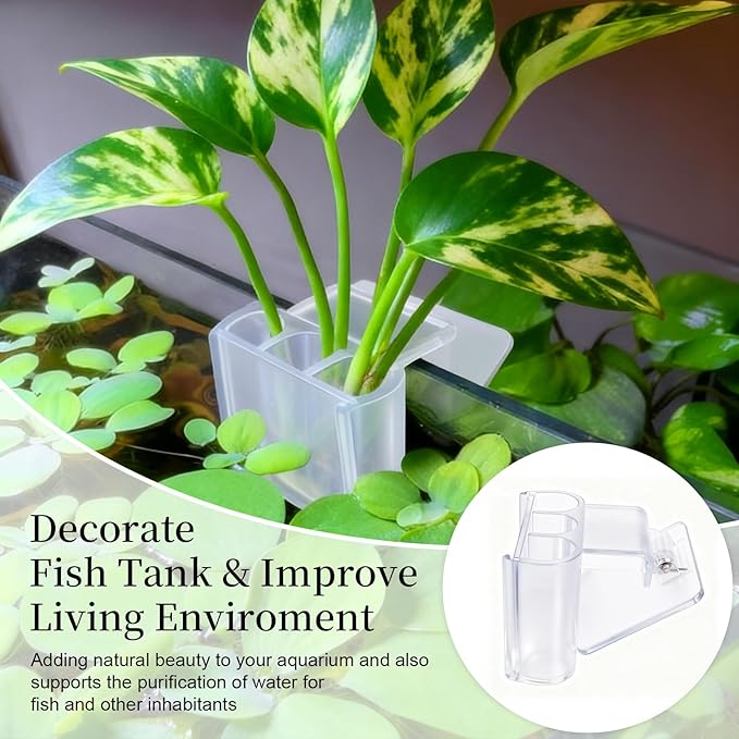 2 Pack Hanging Aquarium Plant Holder – 3 Holes Aquatic Plant Cups, Fish Tank Holder for Aquatic Plants, Ideal for Aquarium Tank Decoration(Transparent)