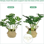 M METERXITY 2-Pack Monstera Plant Support, 11x5.9 Inch Reusable Sturdy Alloy Plant Support Stakes Unique Design for Potted Plants Flowers/Vegetables/Indoor Outdoor Climbing Plants [Gold]