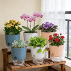 Self Watering Plant Pots 6 Inch, 6 Pack Indoor Planters with Wick Rope and Reservoir, Decorative Flower Pots for Spider Plant, Orchid, African Violet, Home Office Decor (2 White, 2 Pink, 2 Blue)