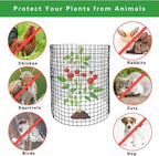 30Pcs Round Plant Protector from Animals, 10 Pack 12'' x 12'' Reusable Metal Plant Cages, Wire Mesh Garden Cloches to Keep Rabbits, Squirrels and Chicken Out and Protection Vegetables Flowers Shrubs
