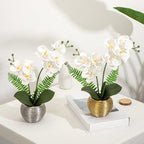 Briful Fake Orchid Flowers 13'' White Orchids Artificial Flowers with Silver Ceramic Vase Faux Orchid for Home Office Decor Indoor