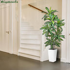 Artificial Dracaena Tree 5FT Tall Fake Plant with White Planter - Realistic Faux Dragon Tree with Tall Planter - Indoor Floor Plant for Home, Office,Mall, Living Room, Bedroom Decor