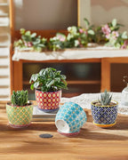 Metahom Succulent Ceramic Pots, 3.8 Inch Small Plant Pots with Drainage Hole & Saucer, Flower Planter Pot for Houseplants, Cacti, Home Decor, Set of 4, Vibrant Colors