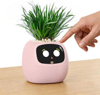PLANTSIO Ivy Interactive AI Desk Companion, Smart Plant Pet with 100+ Expressions, Cute Indoor Planter for Office Decor, Unique Gift for Plant Lovers & Coworkers(Blush)