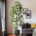 Bailikang Artificial Ficus Tree Indoor 8ft, Large Potted Faux Tree with Realistic Silk Leaves & Trunk for Home Office, Living Room Corner Decor