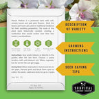 Marshmallow Seeds for Planting - Marsh Mallow Medicinal Herb, Althaea Officinalis, Traditional Root Plant for Herb Garden - Heirloom Non-GMO Open Pollinated - Survival Garden Seeds (3 Pack)