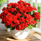 Fake Outdoor Flowers, 6 Pcs Artificial Flowers for Outdoors, Red Artificial Geraniums Plastic Flowers, Fake Plant for Outside, Silk Faux Flowers Outdoor Planters UV Resistant for Front Porch