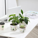 STHIE Ceramic Plant Pots with Drainage Holes and Saucers, Round White Flower Pots for Indoor Plant, Diameter 3.3/4.3/5.5 Inches Small Flower Planters Set of 3