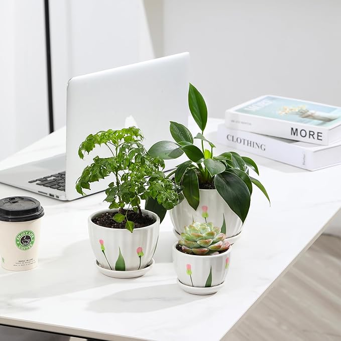 STHIE Ceramic Plant Pots with Drainage Holes and Saucers, Round White Flower Pots for Indoor Plant, Diameter 3.3/4.3/5.5 Inches Small Flower Planters Set of 3