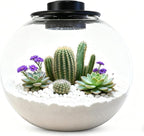 Desktop Glass Terrarium Bowl with Grow Light Adjustable(H:8" D:8"), for Succulent, Moss, Miniature Gardening Landscape, Betta Fish Tank, Indoor Plant Growth, Office Home Decoration, Lovers Gifts