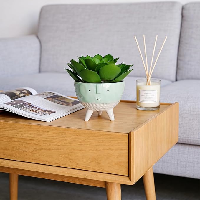 Faux Agave, Fake Succulents, Artificial Plants in Cute Smiling Face Pot - 7" Small Potted Greenery for Office Desk Decor, Funny Shelf Accessories & Unique Gifts for Women Coworker
