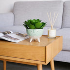 Faux Agave, Fake Succulents, Artificial Plants in Cute Smiling Face Pot - 7" Small Potted Greenery for Office Desk Decor, Funny Shelf Accessories & Unique Gifts for Women Coworker