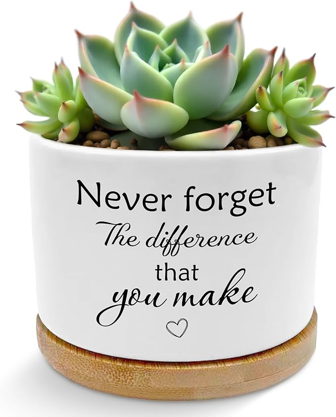 Coworkers Leaving Gifts Plant Pots, Boss Appreciation Gifts Succulent Planters, Never Forget The Difference You Make Ceramic Plant Flower Pots for Home Office Desk Table Shelf(No Plants)