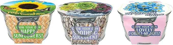 Unique Gardener Flowering Tin Plant Seeds 3 Variety Pack, DIY Indoor Succulents and Live Plants for Home or Garden Planting, Assorted Tin Pack
