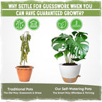 Self-Watering Pots for Indoor Plants 4 Pack, 6/8/10/12 Inch Outdoor Planters with Water Level Indicator&Deep Reservoir, Decorative Flower Pots for Indoor Plants,Home Decor (White, 12+10+8+6 inch)