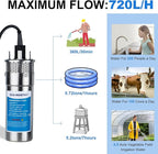 ECO-WORTHY 200W 24V Solar Water Pump System, Large Flow 3.2GPM, 2pcs 100 Watts Solar Panel + Submersible Well Pump + 20A Controller + 16ft Cables for Irrigation Garden Camping
